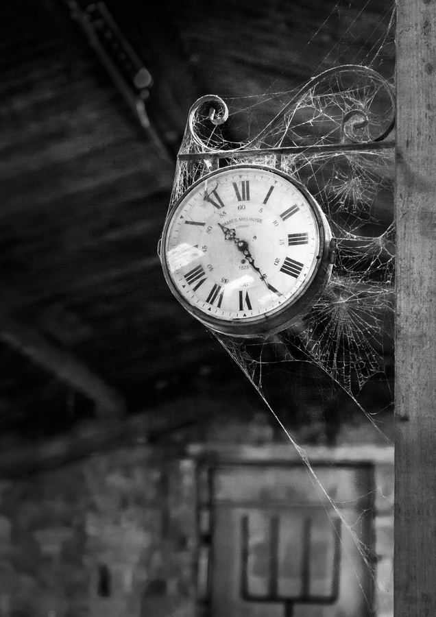 5th Time by Angus Reed